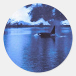 Male Killer Whale Sticker