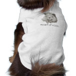Male Lion Pet Tee Shirt