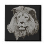 Male Lion Refrigerator Magnet