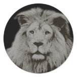 Male Lion on Black Round Sticker