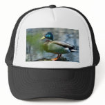 Male Mallard hats