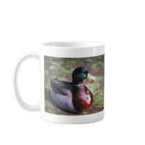 Male Mallard Coffee Mug