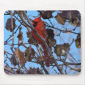 Male Northern Cardinal&Bradford Pear mousepads