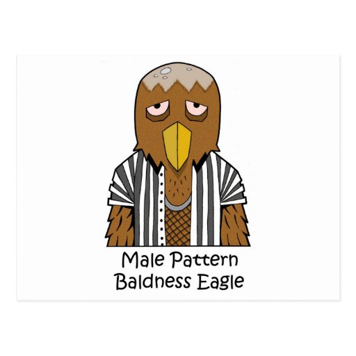 Male pattern baldness eagle postcards