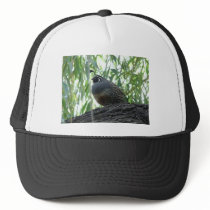 male quail trucker hats