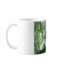 male quail mug