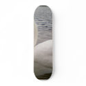 Male Swan Bird skateboards