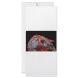 Male Turkey Tom Headshot with drawn tear rack cards