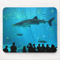 Male Whale Shark at Georgia Aquarium Mouse Pads