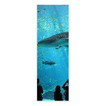 Male Whale Shark Business Cards