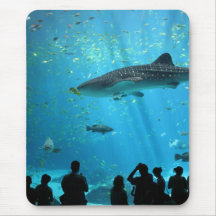 Male Whale Shark Mousepad