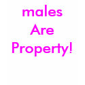 males Are Property! t-shirts