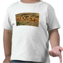 MALI, Dogon Lands. Traditional Tellem malian T-shirt