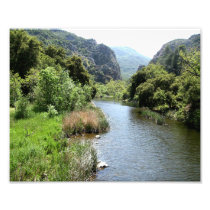 Malibu Creek Photo Art