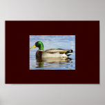 Mallad posters