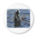 Mallard 9P051D-140 magnets