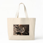 mallard bags