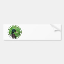 Mallard Bumper Stickers