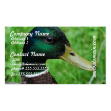 Mallard Business Cards