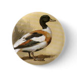 Mallard buttons