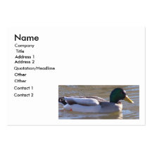 Mallard chubby business card
