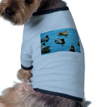 Mallard pet clothing