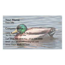 Mallard Drake Business Card Template