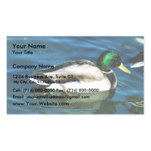 Mallard -drake business card template