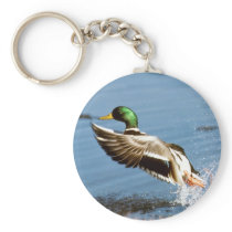 Mallard Drake Duck Keychains