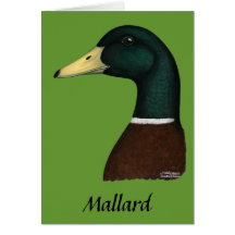 Mallard Drake Head Card