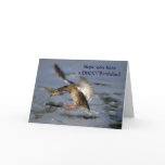 Mallard Duck Birthday Card