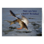 Mallard Duck Birthday Card