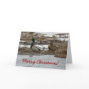 Mallard Duck Christmas Card