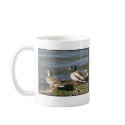 Mallard duck couple mug
