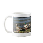 Mallard duck couple mug