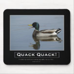 Mallard Duck Demotivational Gifts mousepads