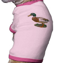 Mallard Duck Gift