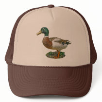 Mallard Duck Gift