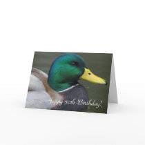 Mallard Duck Greeting Card