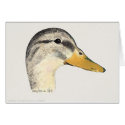 Mallard Duck (Hen), Watercolor cards