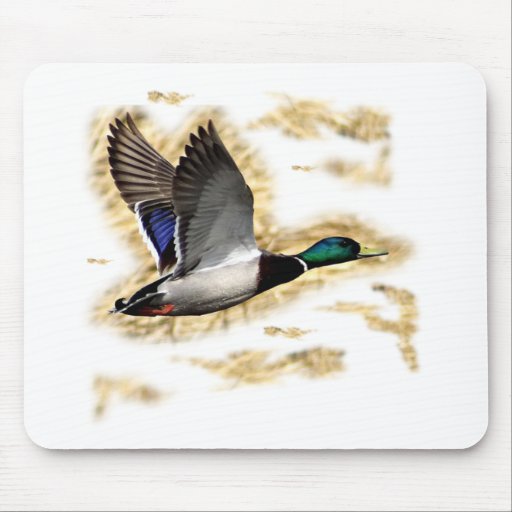Mallard Duck Hunting Mousepad