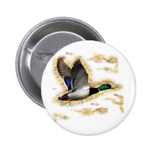 Mallard Duck Hunting Pinback Buttons