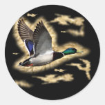 Mallard Duck Hunting Stickers