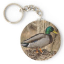 MALLARD DUCK Keychain