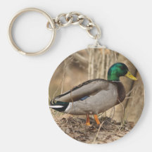 MALLARD DUCK Keychain