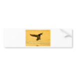 Mallard Duck Landing On Water Bumper Stickers
