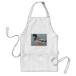 Mallard Duck Looking Ahead aprons