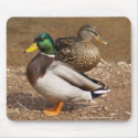 Mallard Duck Pair Mousepad