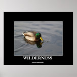 Mallard Duck Wilderness Nature Photo Print
