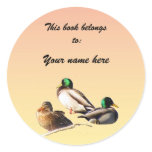 Mallard Ducks Bookplate stickers